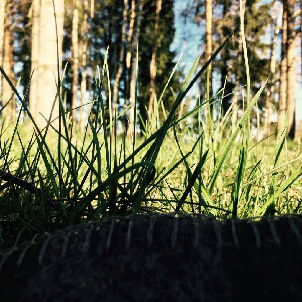 Jubla innan du ser det.