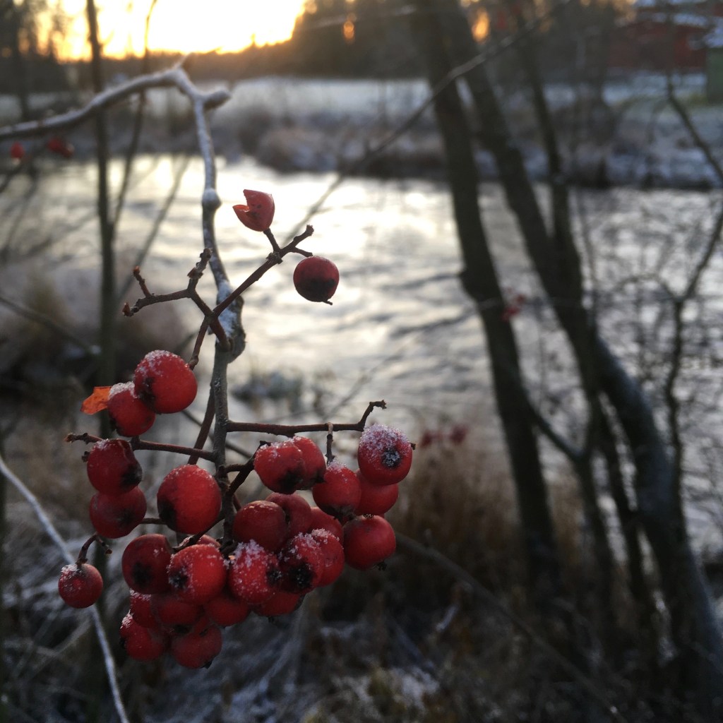 Fasader och åter fasader.