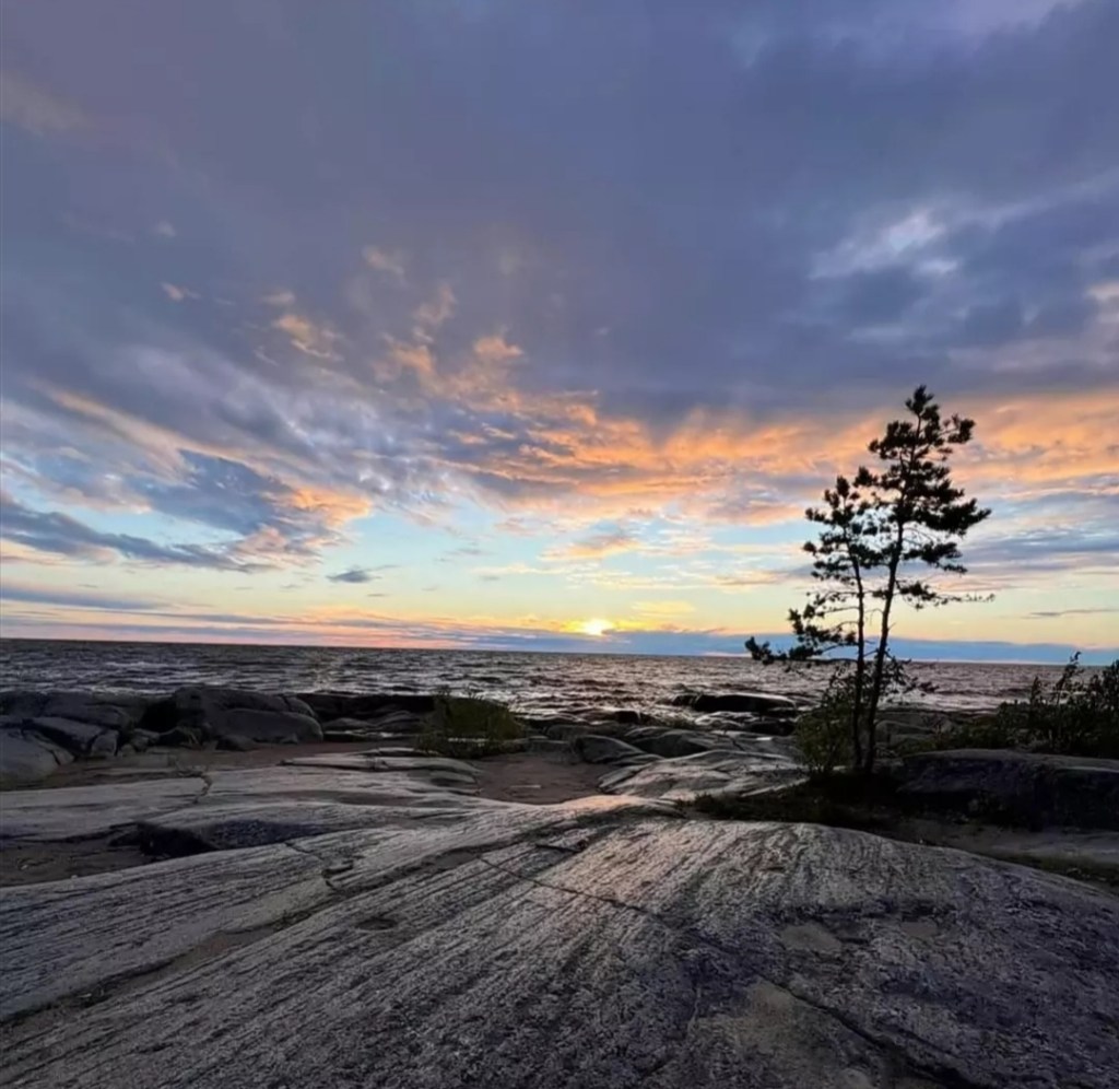 Tacksamhet och acceptans.